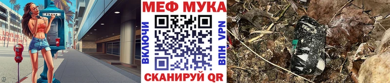 МЕФ мяу мяу Сосновый Бор